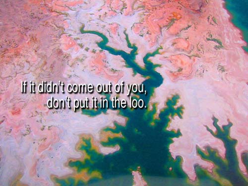 4-you